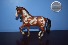 Load image into Gallery viewer, Ratsputin-Halloween Exclusive-Warmblood Stallion Mold-Breyer Classic