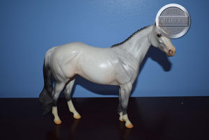 Volunteer "Helper" Horse Equilocity 2008-Ideal Stock Horse Mold-Peter Stone