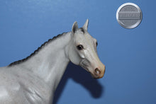 Load image into Gallery viewer, Volunteer &quot;Helper&quot; Horse Equilocity 2008-Ideal Stock Horse Mold-Peter Stone