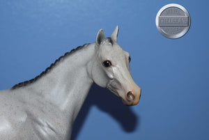 Volunteer "Helper" Horse Equilocity 2008-Ideal Stock Horse Mold-Peter Stone