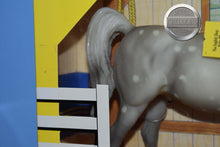 Load image into Gallery viewer, Dapple Grey Arabian-Damaged Box-Show Arabian Mold-New in Box-Breyer Classic