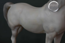 Load image into Gallery viewer, Alabaster Arabian #2-Proud Arabian Mare Mold-Breyer Traditional