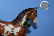 Load image into Gallery viewer, Ratsputin-Halloween Exclusive-Warmblood Stallion Mold-Breyer Classic