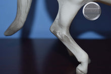 Load image into Gallery viewer, Pluto the Lipizzaner-Original on the Mold-Breyer Traditional