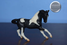 Load image into Gallery viewer, Black Pinto from Stablemates Display Shelf-Warmblood Mold-Breyer Stablemate
