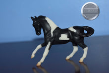 Load image into Gallery viewer, Black Pinto from Stablemates Display Shelf-Warmblood Mold-Breyer Stablemate