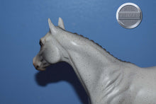 Load image into Gallery viewer, Volunteer &quot;Helper&quot; Horse Equilocity 2008-Ideal Stock Horse Mold-Peter Stone