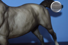 Load image into Gallery viewer, Wild American Horse-Phar Lap Mold-Breyer Traditional