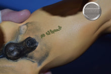 Load image into Gallery viewer, Custom Palomino Draft-Othello Mold-Breyer Traditional