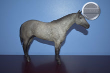 Load image into Gallery viewer, Grey Badger-Stud Spider Mold-Breyer Traditional