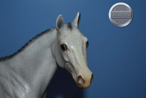 Volunteer "Helper" Horse Equilocity 2008-Ideal Stock Horse Mold-Peter Stone