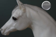 Load image into Gallery viewer, Alabaster Arabian #2-Proud Arabian Mare Mold-Breyer Traditional