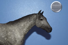 Load image into Gallery viewer, Grey Badger-Stud Spider Mold-Breyer Traditional