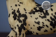 Load image into Gallery viewer, Haute Couture-Breyerfest Exclusive-Marwari Mold-Breyer Traditional