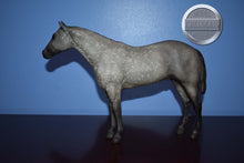 Load image into Gallery viewer, Grey Badger-Stud Spider Mold-Breyer Traditional