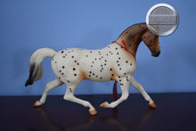 Load image into Gallery viewer, Flabbehoppen-Knabstrupper from Jamboree Event-Misty&#39;s Twilight Mold-Breyer Traditional