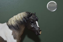 Load image into Gallery viewer, Grullo Pinto Pony-From Pony Family Set-Misty Mold-Breyer Traditional