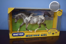 Load image into Gallery viewer, Grey White Pinto Partly Cloudy-Treasure Hunt Series-Weathergirl Mold-Breyer Traditional