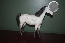 Load image into Gallery viewer, Ara-Appaloosa Mare-Family Arabian Mare Mold-Breyer Traditional
