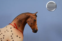 Load image into Gallery viewer, Flabbehoppen-Knabstrupper from Jamboree Event-Misty&#39;s Twilight Mold-Breyer Traditional