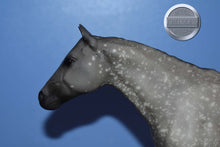 Load image into Gallery viewer, Grey Badger-Stud Spider Mold-Breyer Traditional