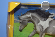 Load image into Gallery viewer, Grey White Pinto Partly Cloudy-Treasure Hunt Series-Weathergirl Mold-Breyer Traditional