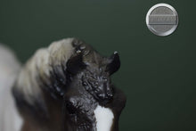 Load image into Gallery viewer, Grullo Pinto Pony-From Pony Family Set-Misty Mold-Breyer Traditional