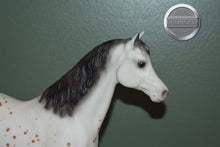 Load image into Gallery viewer, Ara-Appaloosa Mare-Family Arabian Mare Mold-Breyer Traditional