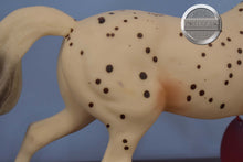 Load image into Gallery viewer, Flabbehoppen-Knabstrupper from Jamboree Event-Misty&#39;s Twilight Mold-Breyer Traditional