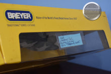 Load image into Gallery viewer, Grey White Pinto Partly Cloudy-Treasure Hunt Series-Weathergirl Mold-Breyer Traditional