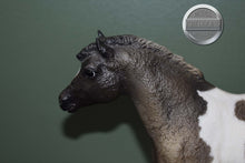 Load image into Gallery viewer, Grullo Pinto Pony-From Pony Family Set-Misty Mold-Breyer Traditional