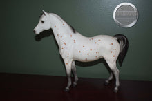 Load image into Gallery viewer, Ara-Appaloosa Mare-Family Arabian Mare Mold-Breyer Traditional
