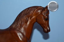 Load image into Gallery viewer, Woodgrain-Family Arabian Stallion Mold-Breyer Traditional