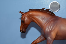 Load image into Gallery viewer, Peptoboonsmal-Austrailian Stock Horse Mold-Breyer Traditional