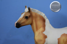 Load image into Gallery viewer, Creamsycle-Clydesdale Foal Mold-Breyer Traditional