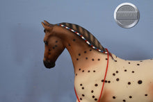 Load image into Gallery viewer, Flabbehoppen-Knabstrupper from Jamboree Event-Misty&#39;s Twilight Mold-Breyer Traditional