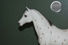 Load image into Gallery viewer, Ara-Appaloosa Mare-Family Arabian Mare Mold-Breyer Traditional