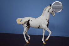 Load image into Gallery viewer, Mumbai-Collector's Club Exclusive-Marwari Mold-Breyer Traditional