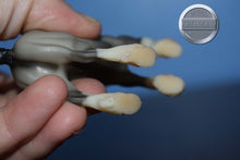 Load image into Gallery viewer, Blue Roan Sabino-JAH Exclusive-Cantering Clydesdale Mold-Breyer Stablemate