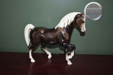 Load image into Gallery viewer, Charcoal Arabian Stallion-Family Arabian Stallion Mold-Breyer Traditional