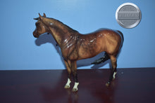 Load image into Gallery viewer, Walla Walla-Glossy-LE of 30-Ideal Stock Horse Mold-Peter Stone