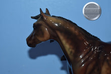 Load image into Gallery viewer, Walla Walla-Glossy-LE of 30-Ideal Stock Horse Mold-Peter Stone