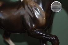 Load image into Gallery viewer, Charcoal Arabian Stallion-Family Arabian Stallion Mold-Breyer Traditional