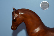 Load image into Gallery viewer, Woodgrain-Family Arabian Stallion Mold-Breyer Traditional
