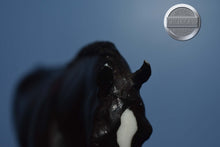 Load image into Gallery viewer, Black Pony from Horses Great and Small Set-Cantering Welsh Pony Mold-Breyer Traditional