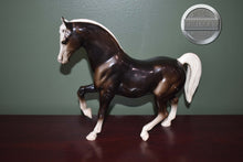 Load image into Gallery viewer, Charcoal Arabian Stallion-Family Arabian Stallion Mold-Breyer Traditional