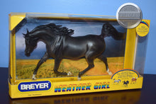 Load image into Gallery viewer, Thunderstorm-Treasure Hunt Series-Weathergirl Mold-Breyer Traditional