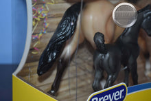 Load image into Gallery viewer, Birthday at the Barn Set-New in Box-Breyer Classic