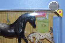 Load image into Gallery viewer, Blanket Appaloosa Mare and Foal-Johar Mold-New in Box-Breyer Classic