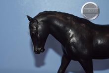 Load image into Gallery viewer, Black Pony from Horses Great and Small Set-Cantering Welsh Pony Mold-Breyer Traditional